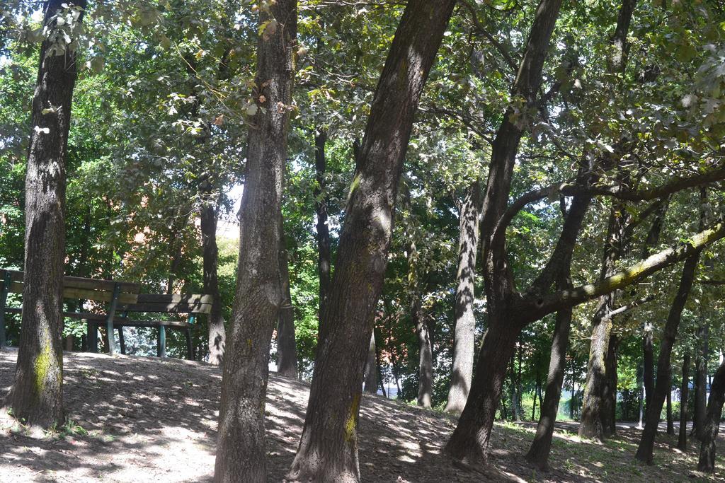 ボローニャCasa Loryアパートメント 部屋 写真